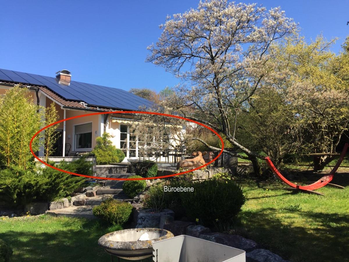 Glueckliche Kuh-Villa - Achtsamer Rueckzugsort Mit Traumgarten, Schwimmteich & Raum Zum Sein - Allgaeu Kempten  Exterior foto