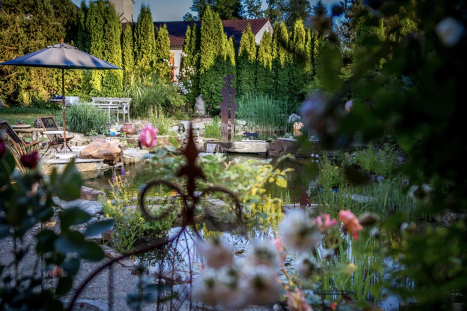 Glueckliche Kuh-Villa - Achtsamer Rueckzugsort Mit Traumgarten, Schwimmteich & Raum Zum Sein - Allgaeu Kempten  Exterior foto