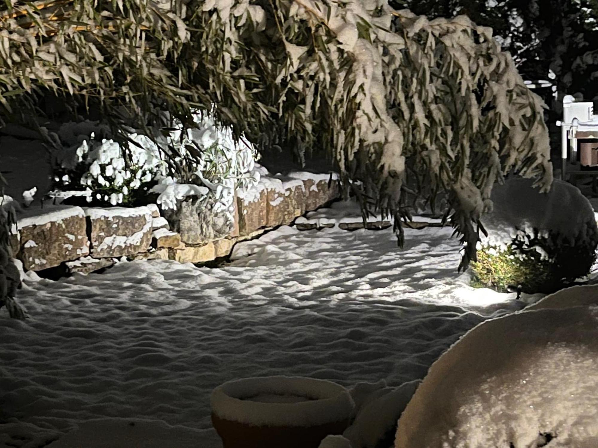 Glueckliche Kuh-Villa - Achtsamer Rueckzugsort Mit Traumgarten, Schwimmteich & Raum Zum Sein - Allgaeu Kempten  Exterior foto