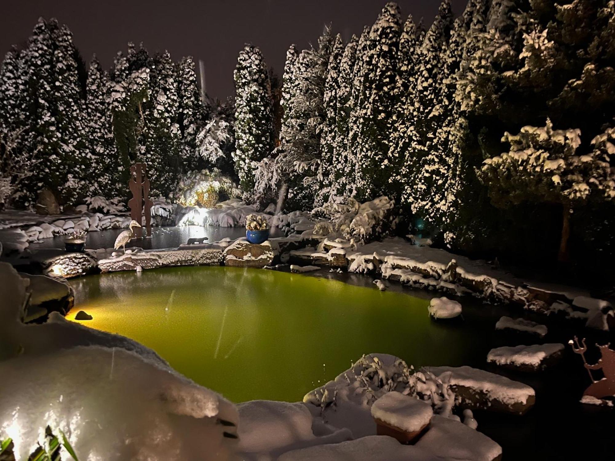 Glueckliche Kuh-Villa - Achtsamer Rueckzugsort Mit Traumgarten, Schwimmteich & Raum Zum Sein - Allgaeu Kempten  Exterior foto